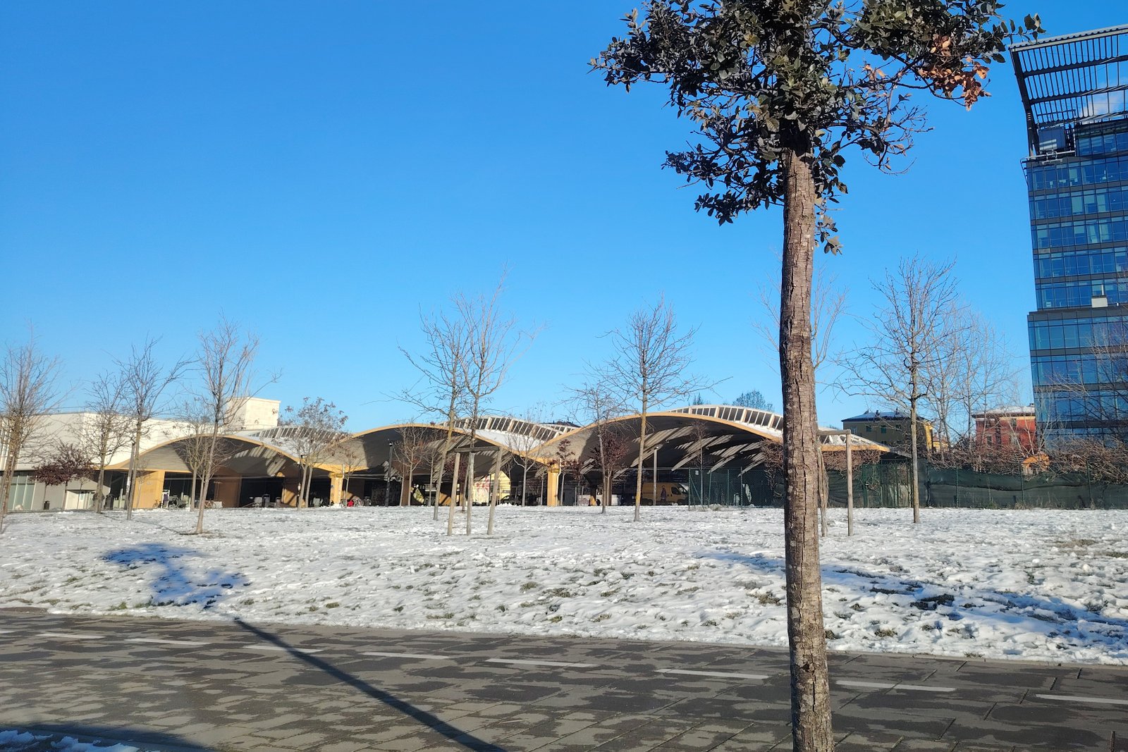 Piazza Lucio Dalla in Bologna's Bolognina district, the site of Pier Luigi Nervi's former wholesale produce market canopy