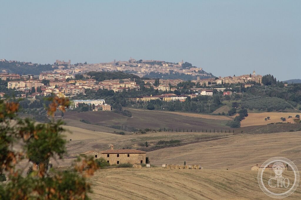 Montalcino panorama colline Val d Orcia Toscana fortezza medievale borgo 1361 Brunello DOCG