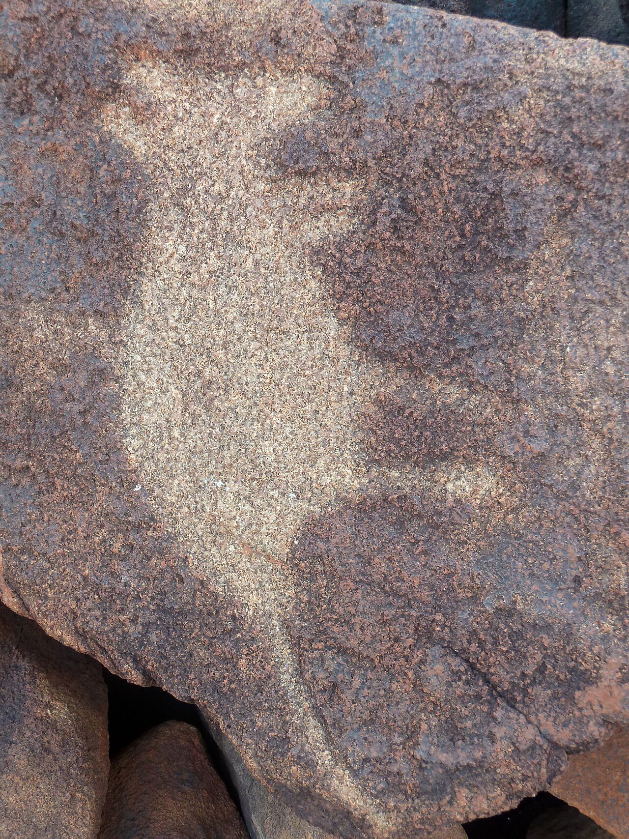 Ancient petroglyphs on coastal granite boulders, Burrup Peninsula, Western Australia