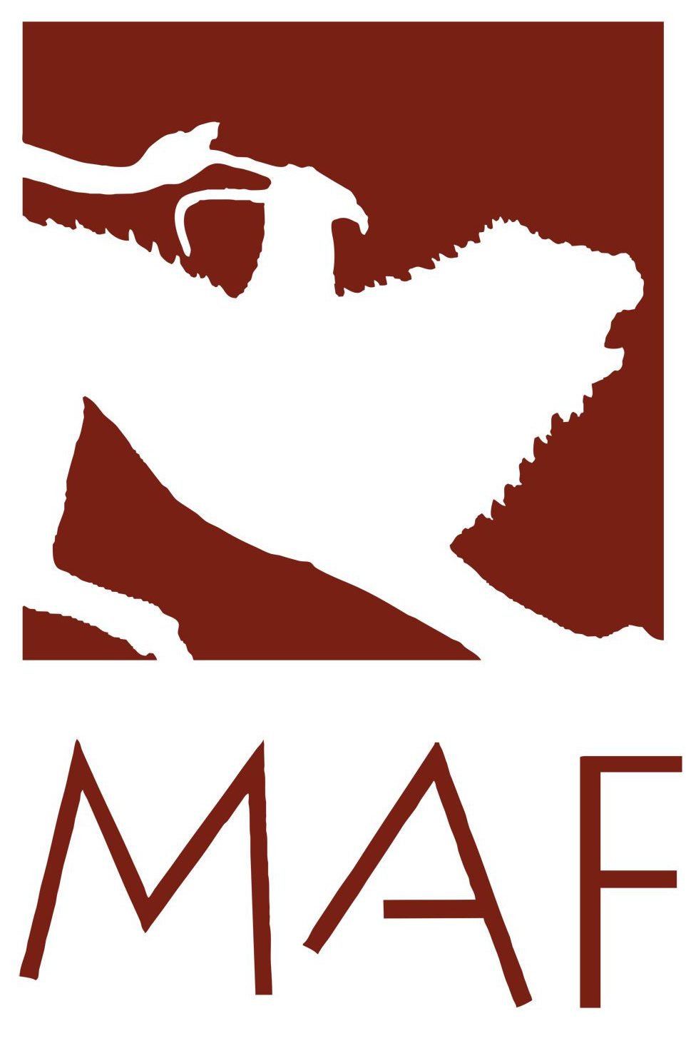 MAF – National Archaeological Museum of Florence — Cultural Heritage Online