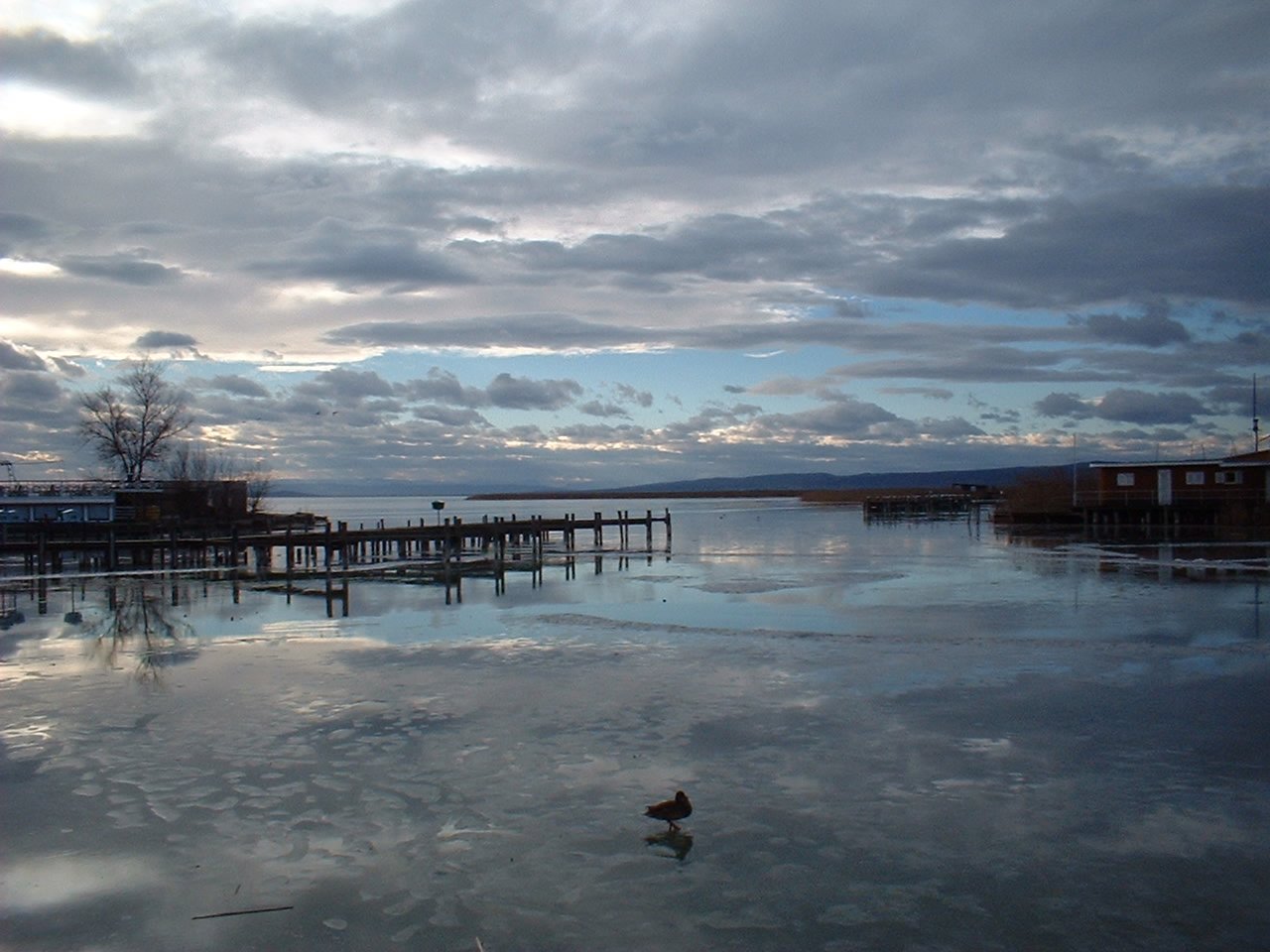 Il Neusiedler See in inverno: il grande lago steppico al confine austro-ungherese con i suoi canneti e la pianura pannonica — Patrimonio UNESCO 2001