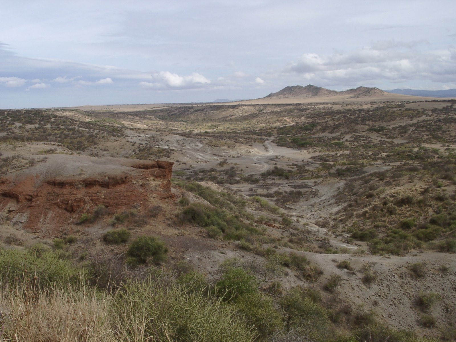 Olduvai Gorge ravine in the Great Rift Valley, Tanzania, where human evolution was first read in geological strata