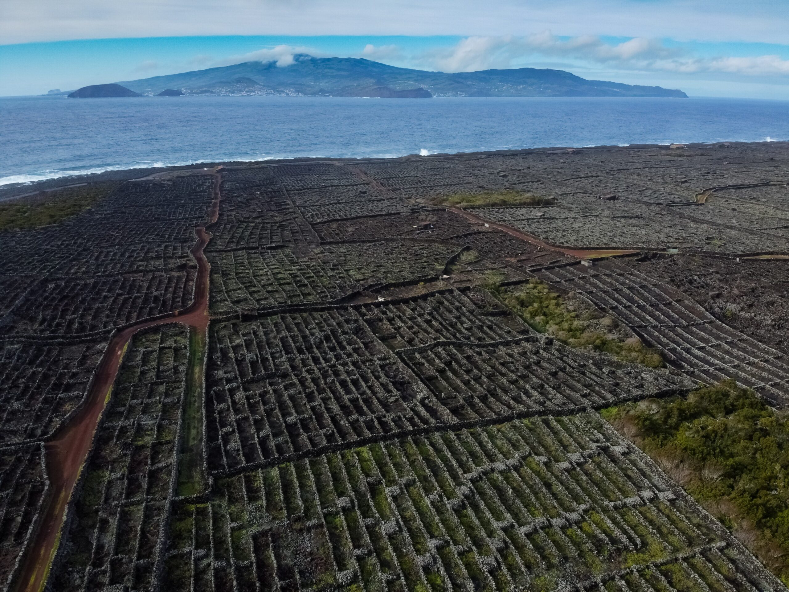 Landscape of the Pico Island Vineyard Culture - CulturalHeritageOnline ...