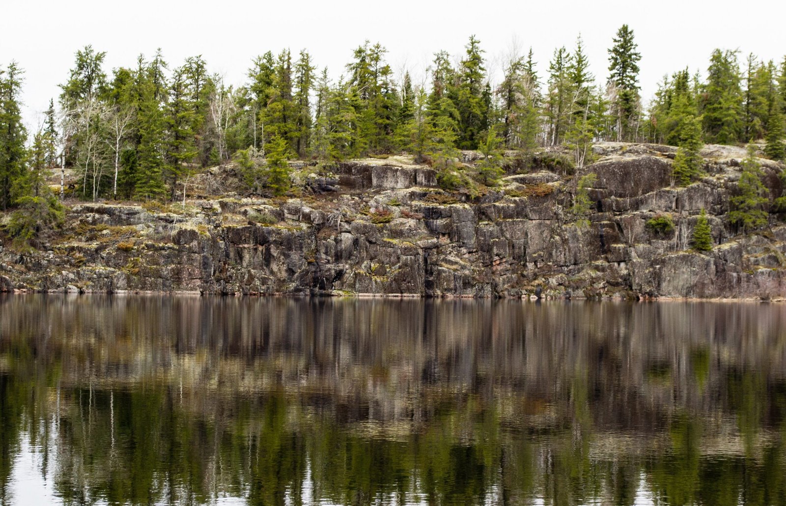 Boreal forest and lake landscape of Pimachiowin Aki
