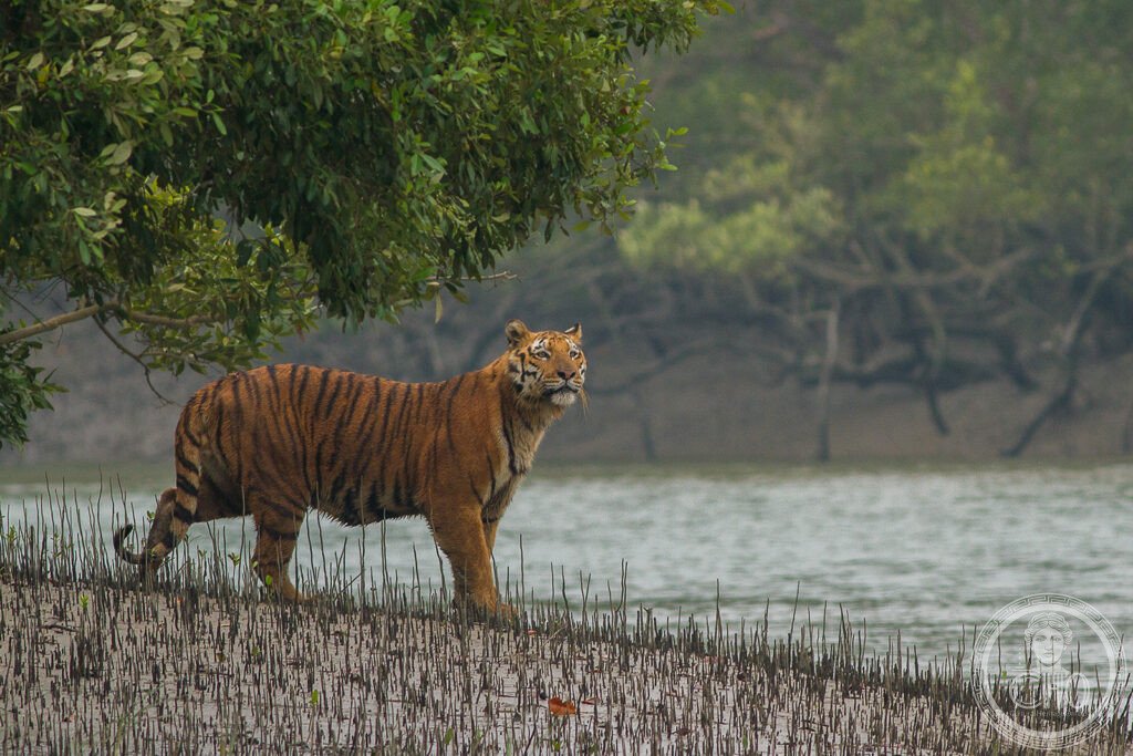 UNESCO World Heritage Sites in Bangladesh: the complete guide