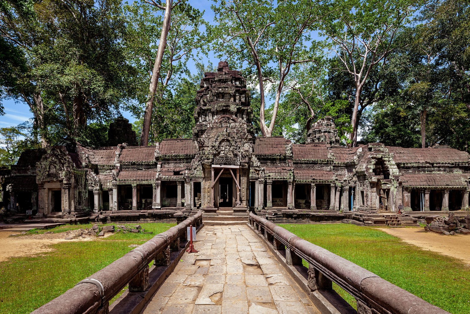 Massive silk-cotton tree roots spreading across stone galleries at Ta Prohm temple, Angkor