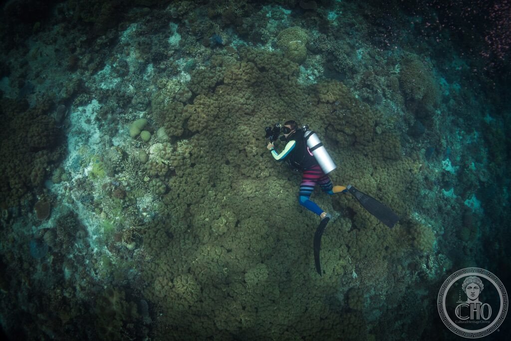A scuba diver above a dense coral reef in the clear waters of Tubbataha, Sulu Sea, Philippines