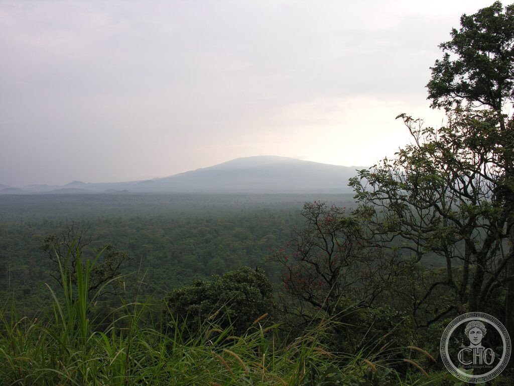 Forest and savanna stretching toward a volcano in Virunga National Park, eastern DR Congo