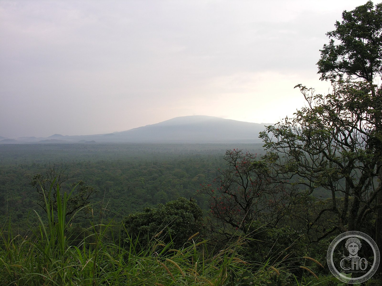 Virunga National Park, a UNESCO World Heritage Site in the Democratic Republic of the Congo