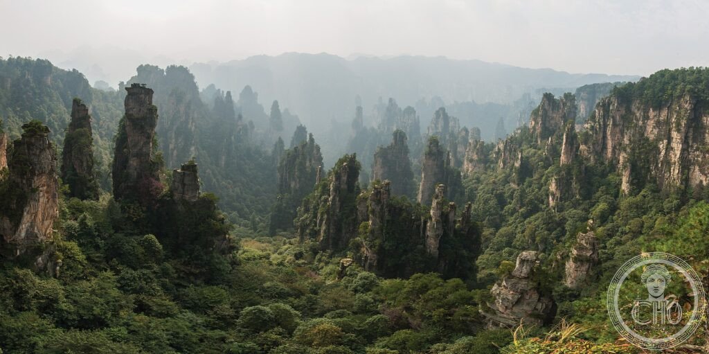 Hundreds of tall quartzite-sandstone pillars rising from forested valleys at Wulingyuan