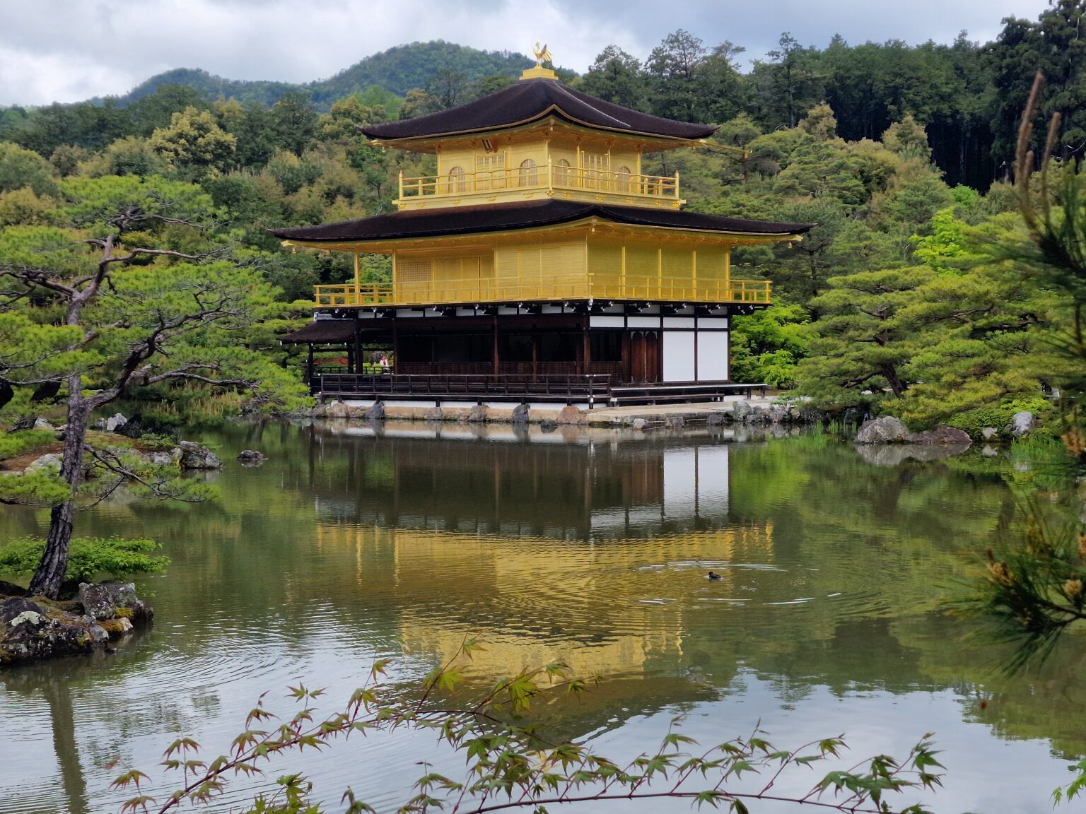 The gold-leafed Kinkaku-ji pavilion standing at the edge of its pond, reflected whole in the still water, pines around it