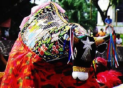 Bumba-meu-boi of Maranhão