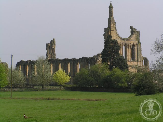 Rovine dell'abbazia cistercense di Byland viste da nord-ovest, tra le colline dello Yorkshire