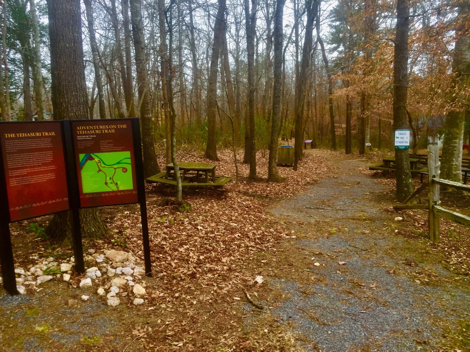The Yehasuri Trail leading into the woods.