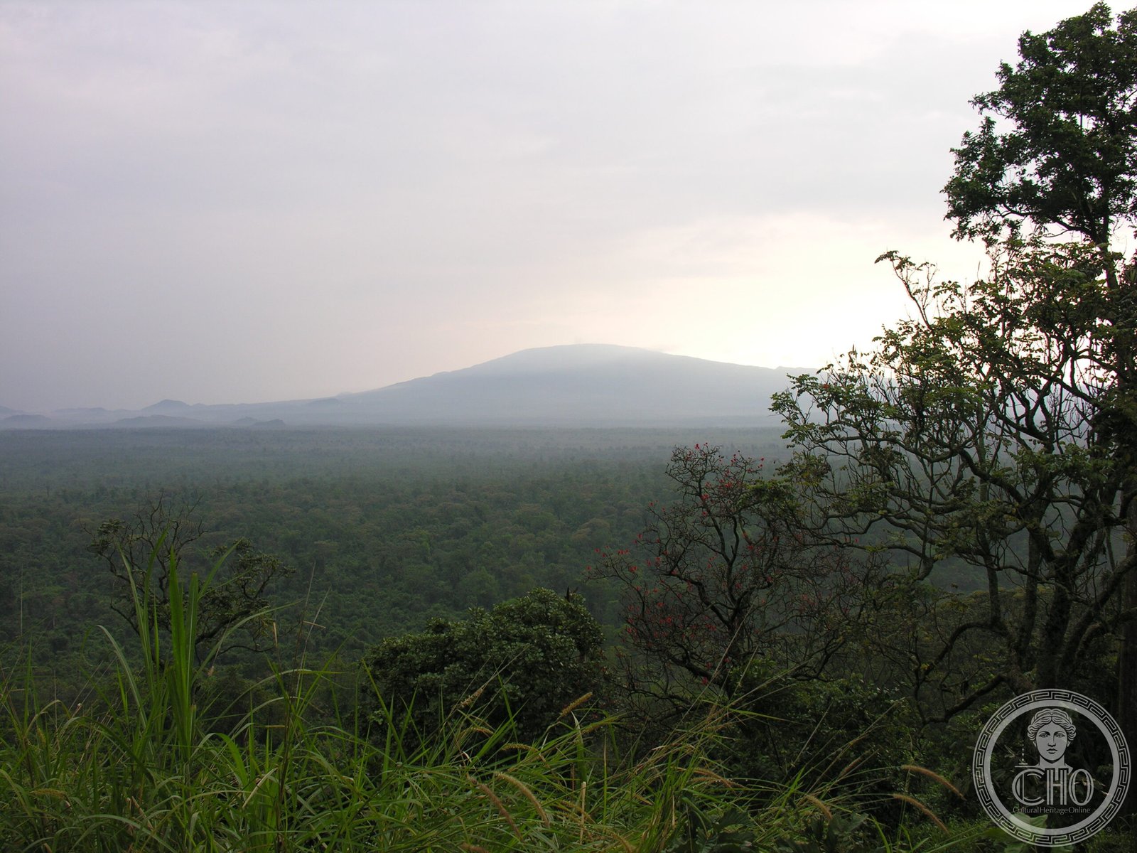 Virunga National Park — view Virunga National Park — view