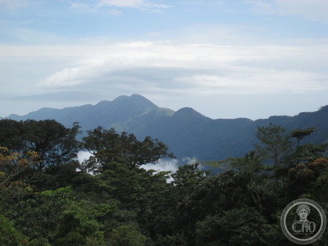 Mount Nimba Strict Nature Reserve — view Mount Nimba Strict Nature Reserve — view