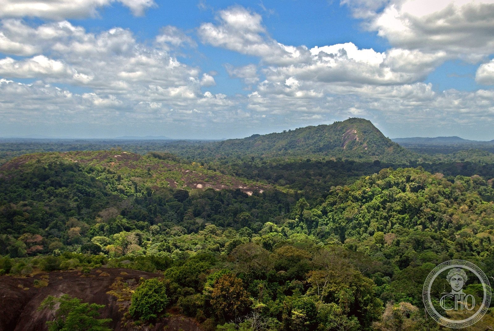 Central Suriname Nature Reserve — view Central Suriname Nature Reserve — view