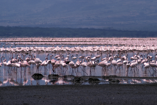 Great Rift Valley, Kenya — view Great Rift Valley, Kenya — view