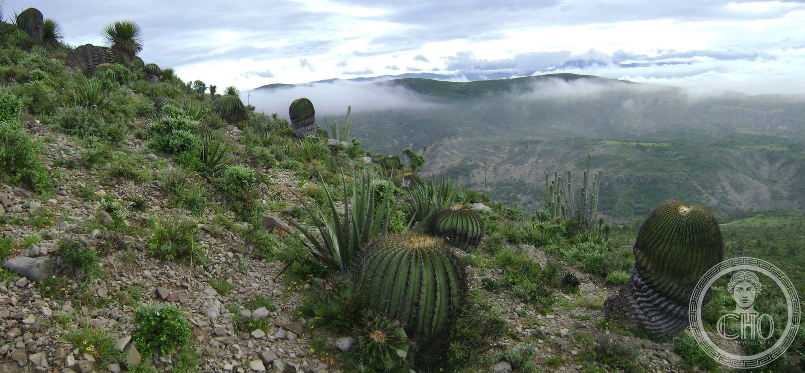 Tehuacán-Cuicatlán Biosphere Reserve — view Tehuacán-Cuicatlán Biosphere Reserve — view