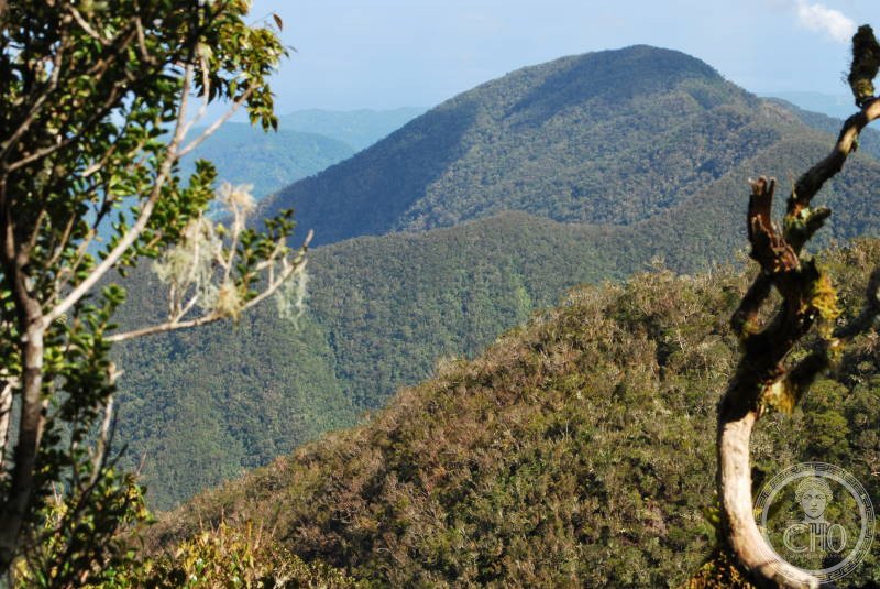 Blue Mountains (Jamaica) — view Blue Mountains (Jamaica) — view