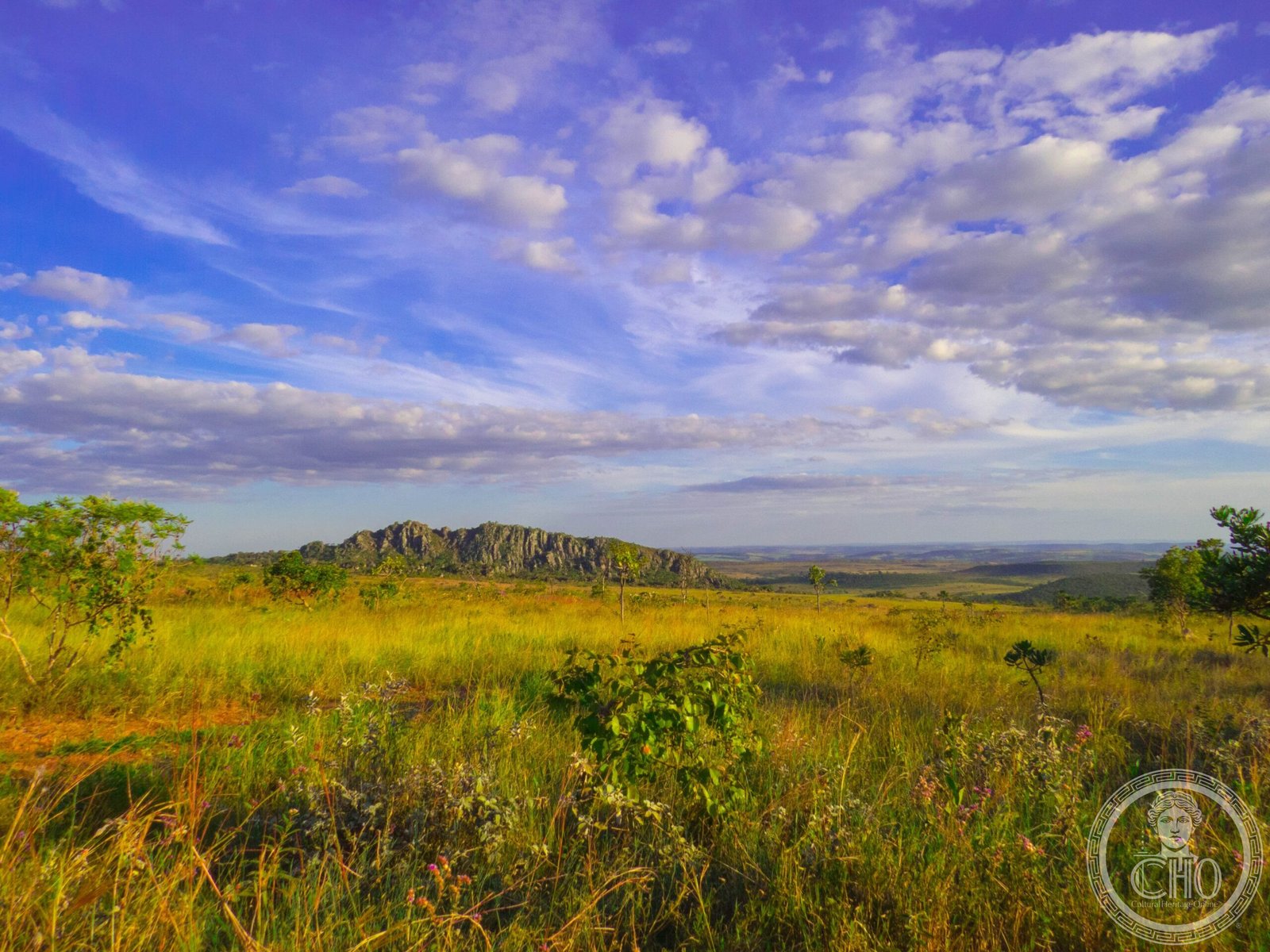 Cerrado — view Cerrado — view
