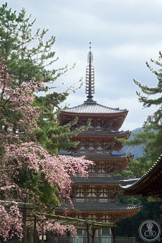 Daigo-ji — view Daigo-ji — view