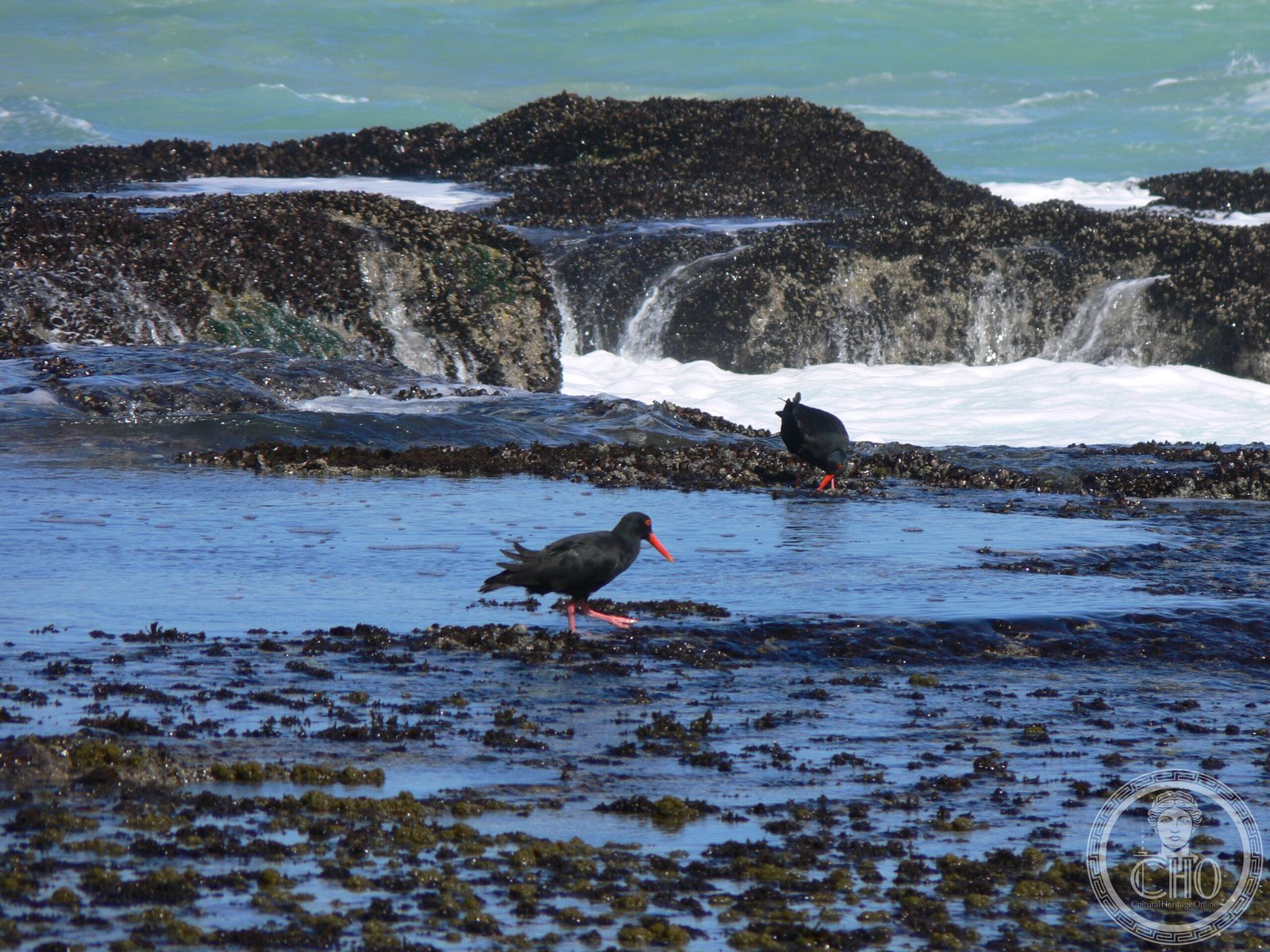 De Hoop Nature Reserve — view De Hoop Nature Reserve — view