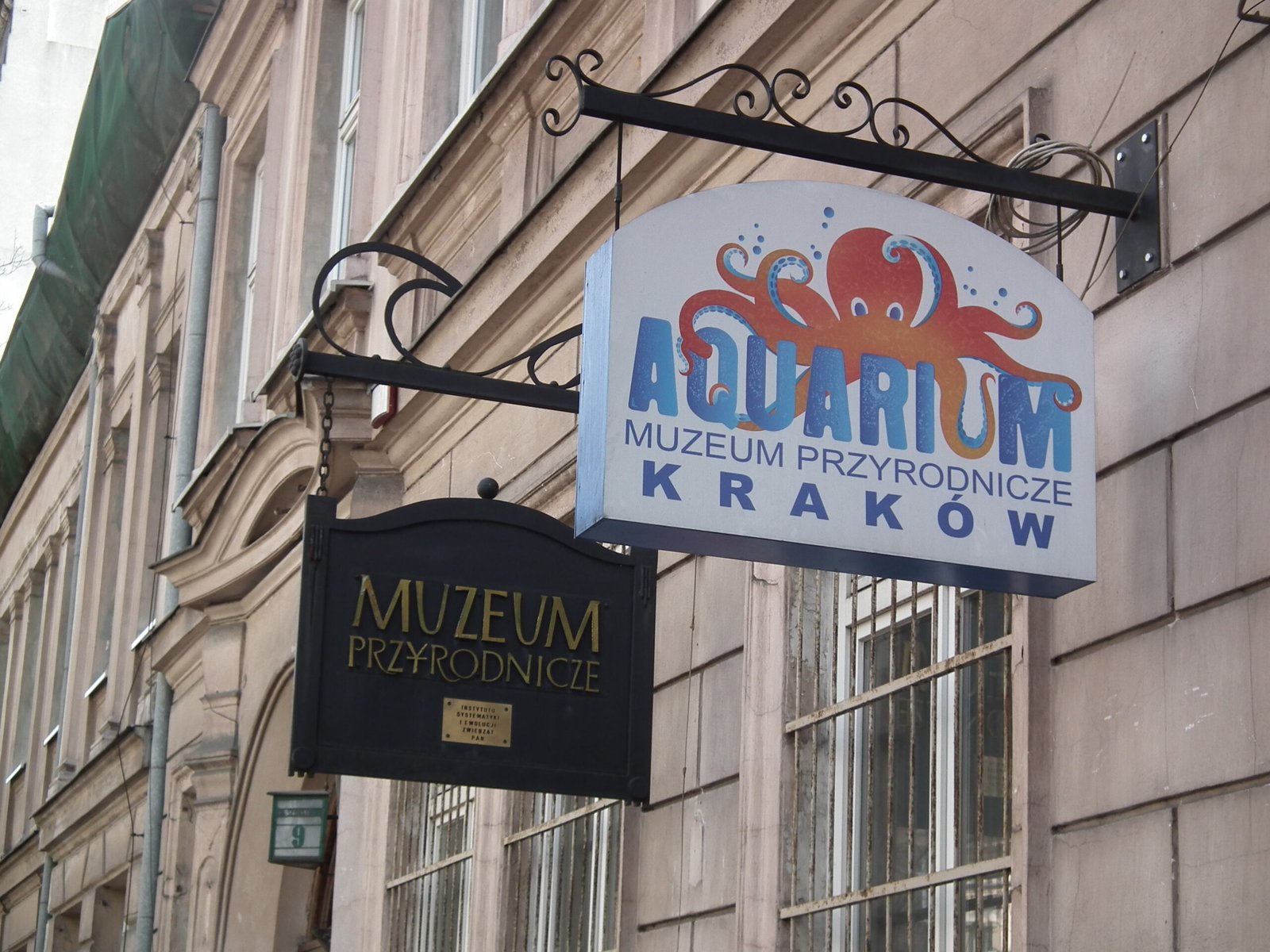 Aquarium and Natural History Museum, Kraków — view Aquarium and Natural History Museum, Kraków — view
