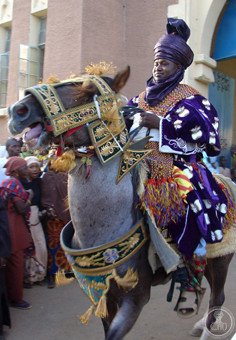 Durbar of Kano — Kano (city)