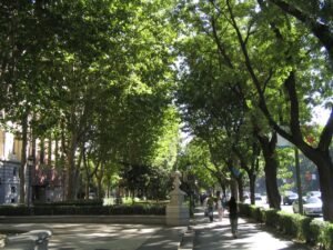 Paseo del Prado and Buen Retiro — UNESCO Landscape of Arts and Sciences, Madrid