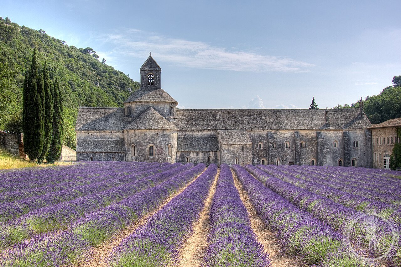 Sénanque Abbey near Gordes, Provence, France, founded 1148, surrounded by lavender fields tended by its Cistercian monks, one of the most photographed monastic scenes in France