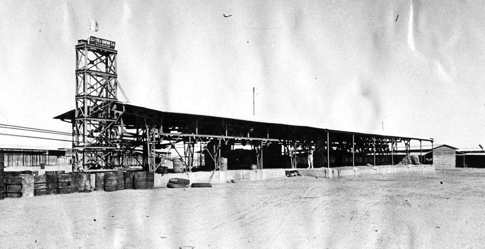 Terminal station of the Massawa-Asmara cableway with steel tower and long shed