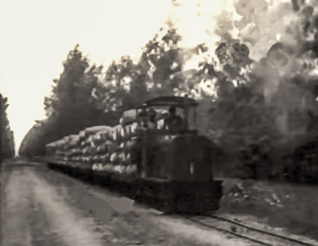 A narrow-gauge train stacked with cotton bales runs through the plantations of Villaggio Duca degli Abruzzi in 1935.