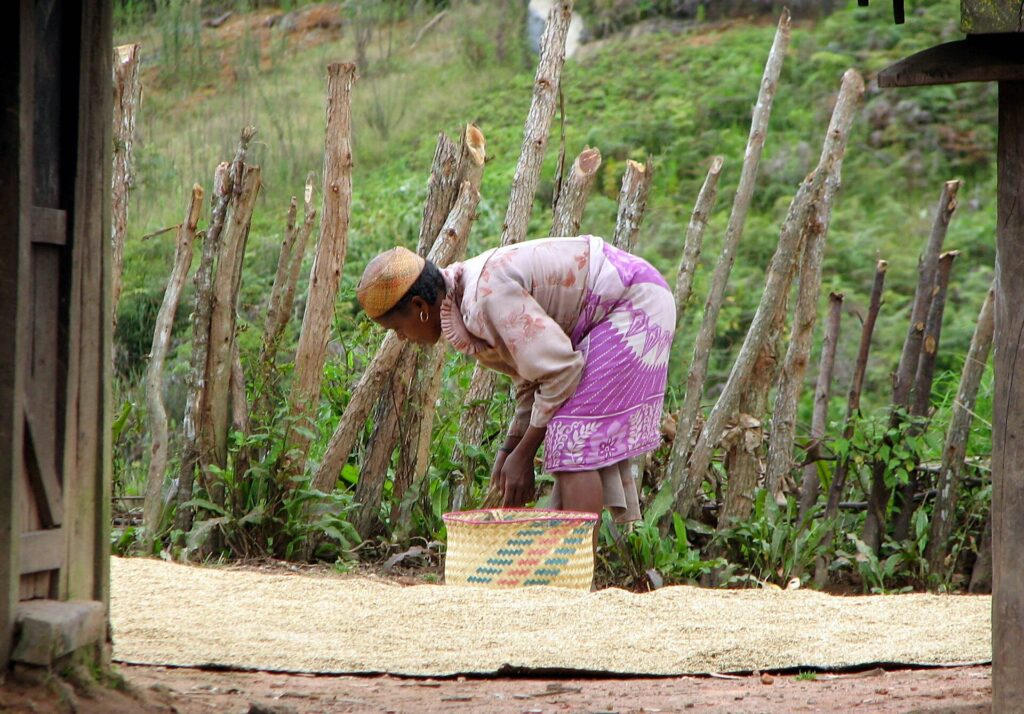 Zafimaniry woodcraft