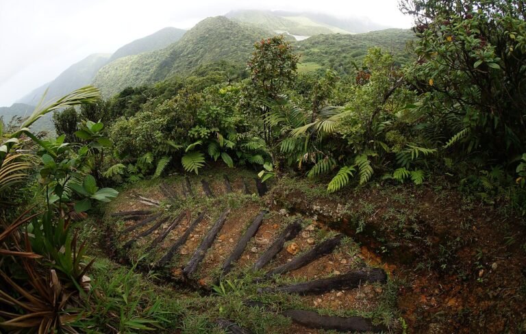 UNESCO World Heritage Sites Near Roseau: the Morne Trois Pitons National Park in Dominica