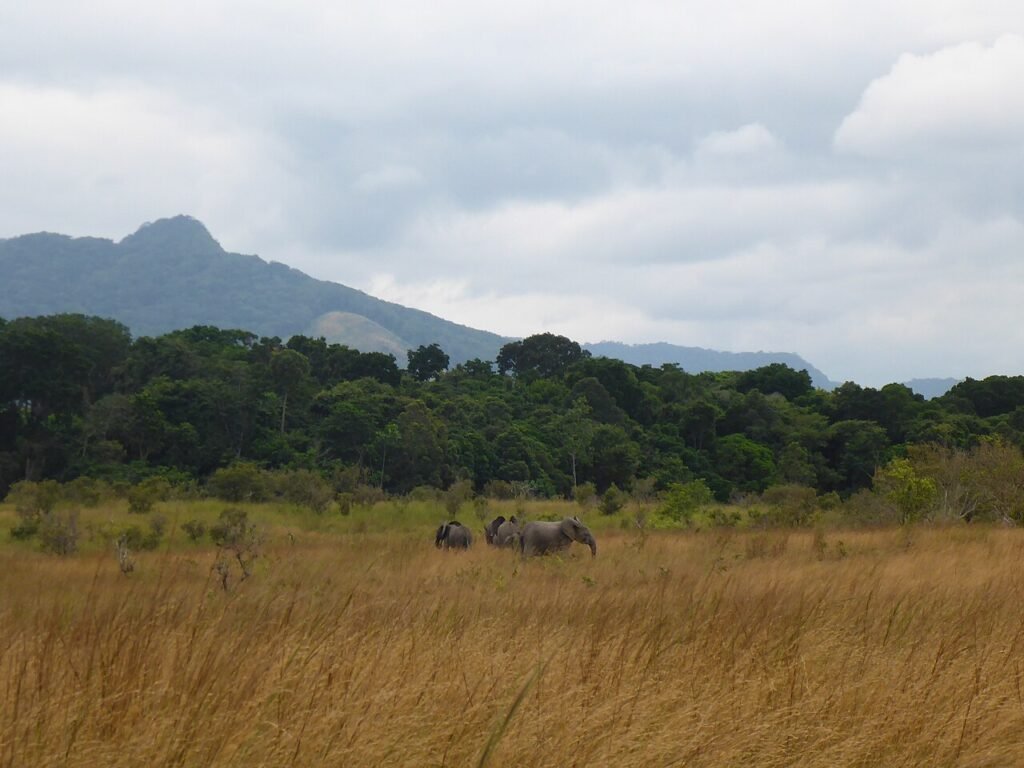 UNESCO World Heritage Sites Near Libreville: the Ecosystem and Relict Cultural Landscape of Lopé-Okanda