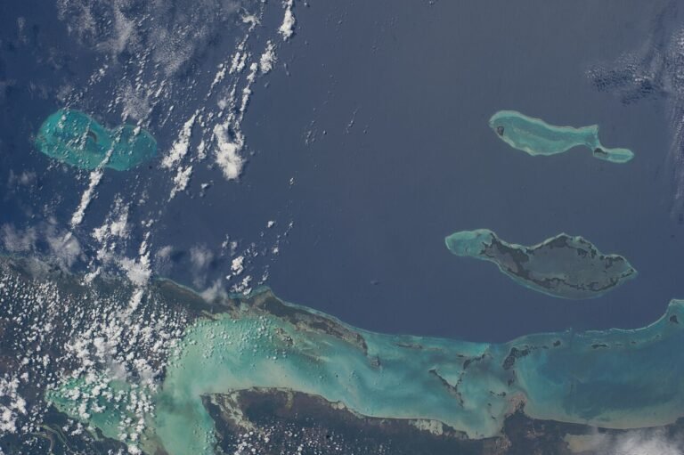 UNESCO World Heritage Sites Near Belmopan: the Barrier Reef System of Belize