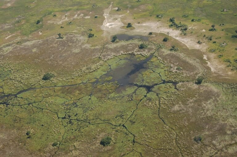 UNESCO World Heritage Sites Near Gaborone: Tsodilo Hills and the Okavango Delta