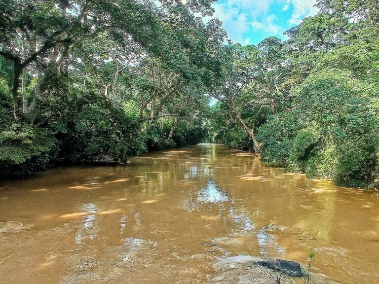 UNESCO World Heritage Sites Near Abuja: Osun-Osogbo Sacred Grove and the Sukur Cultural Landscape