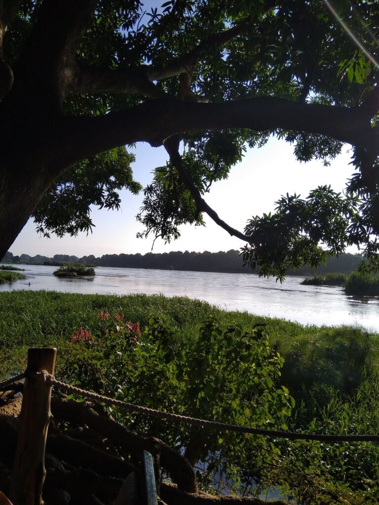 UNESCO World Heritage Sites Near Juba: the Sudd Wetlands and the Boma National Park Landscape