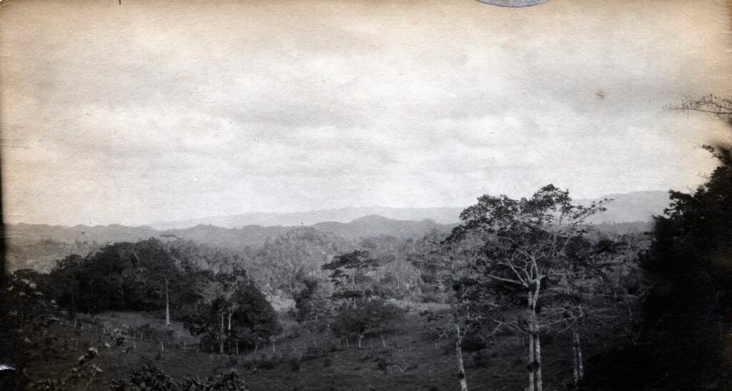 UNESCO World Heritage Sites Near Kingston: the Blue and John Crow Mountains National Park