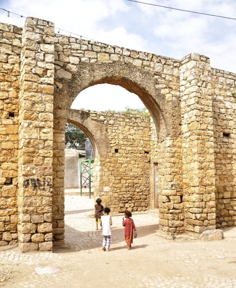 UNESCO World Heritage Sites Near Harar: the Fortified Islamic City, 82 Mosques and the Awash Valley Where Lucy Was Found