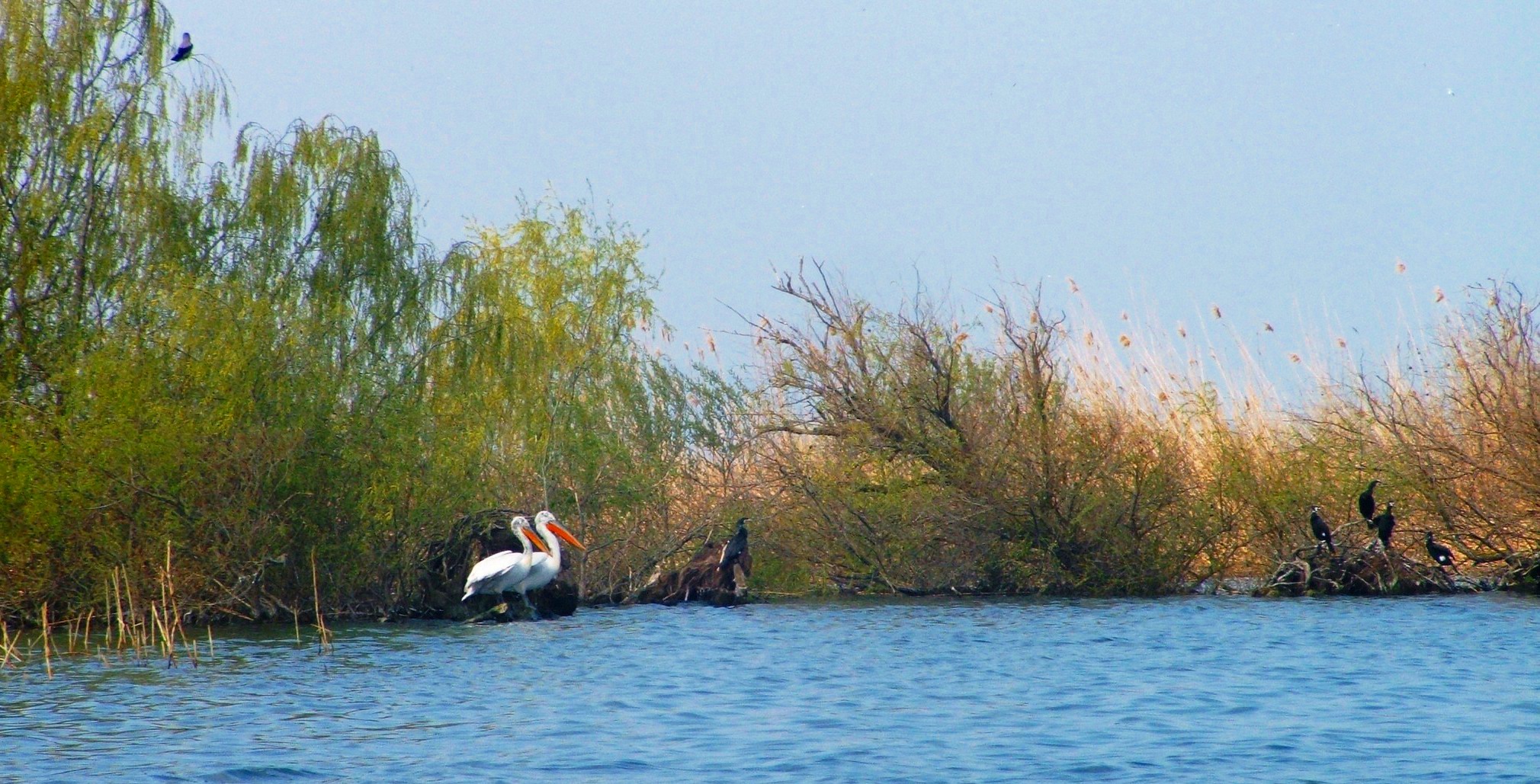 Srebarna Nature Reserve — view