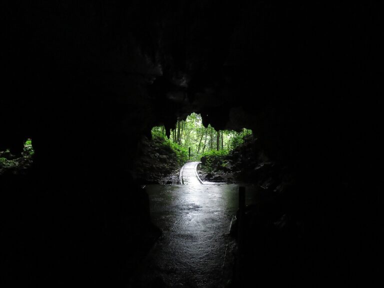 UNESCO Sites Near Gunung Mulu: Niah Caves and Kinabalu Park