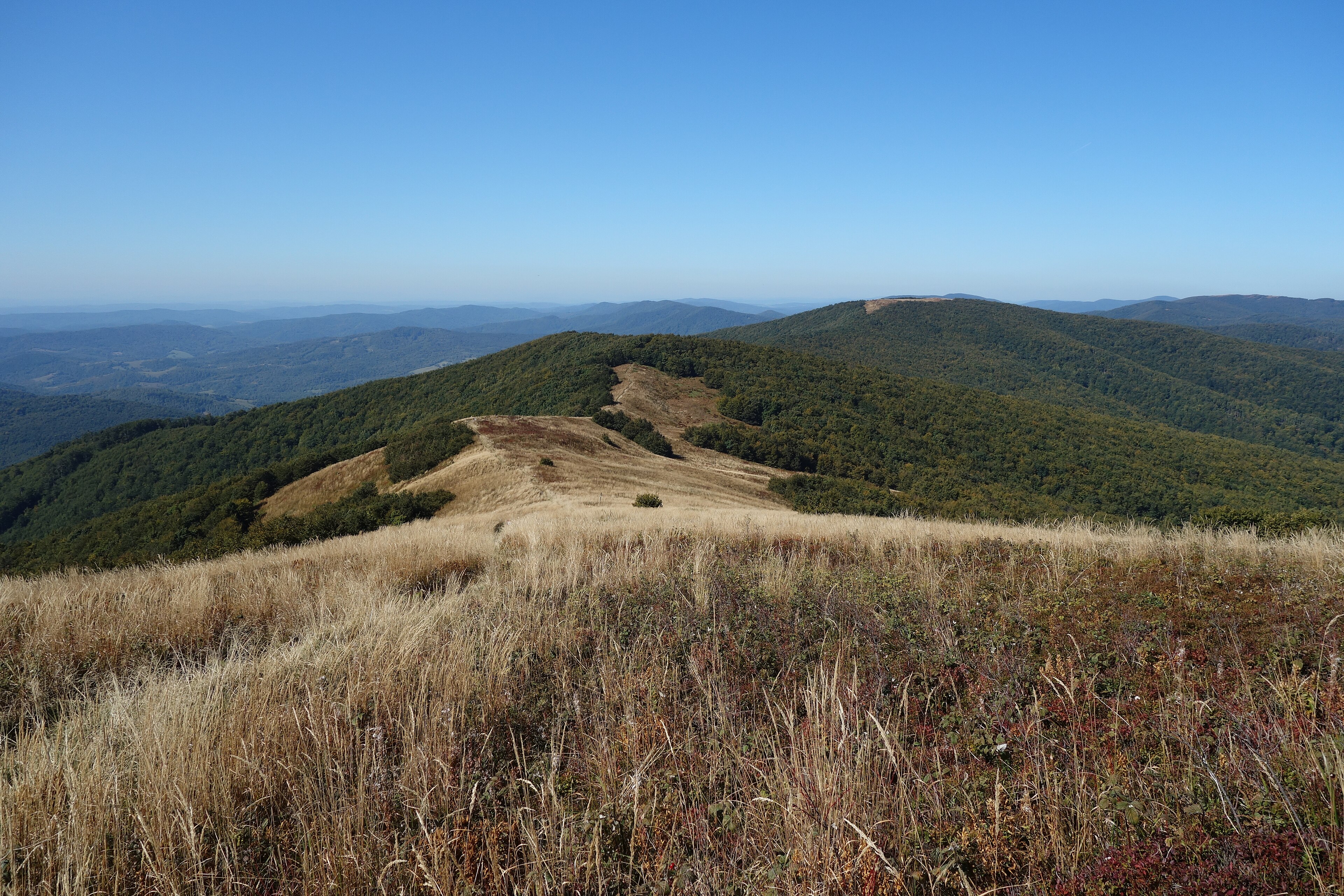 Poloniny National Park — view Poloniny National Park — view