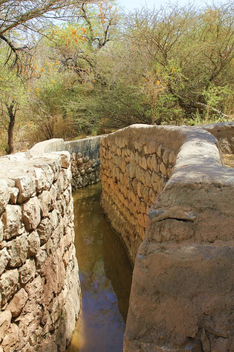 UNESCO World Heritage Sites Near the Aflaj Irrigation Systems of Oman: 3,000 Gravity-Fed Channels That Have Watered the Desert for 2,000 Years, the Water Auctions of Nizwa and the Communities That Still Drink by Shadow-Time
