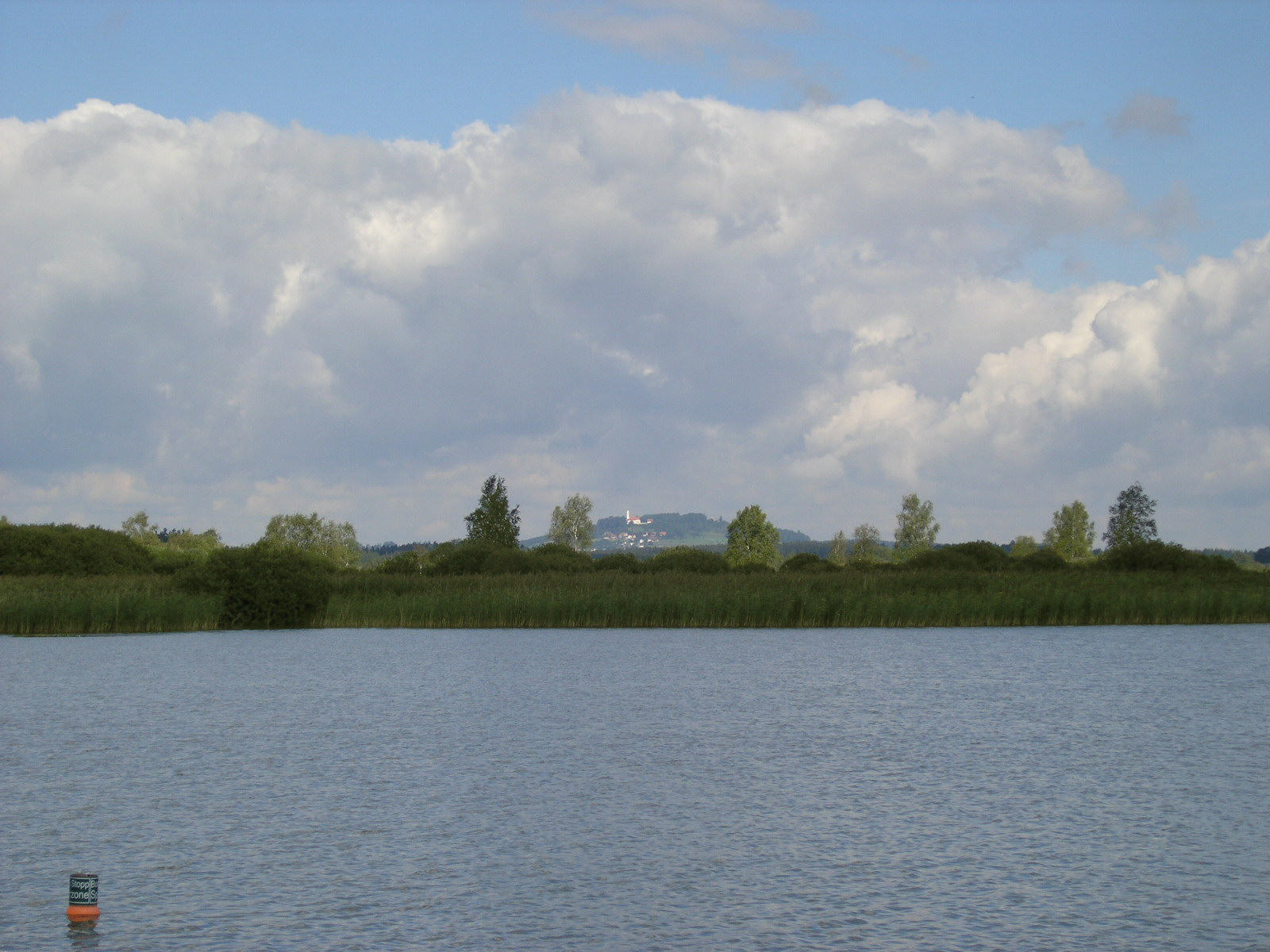 Federsee — view