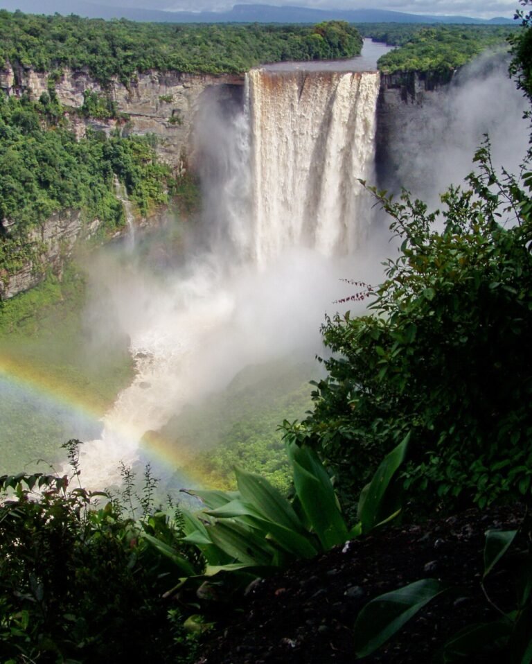 UNESCO World Heritage Sites Near Georgetown: Kaieteur Falls and the Suriname Nature Reserve