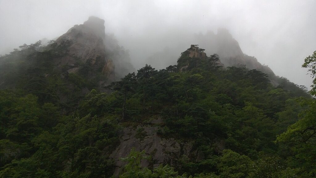 Mount Huangshan Sea of Clouds & Ancient Pines: Guide Mount Huangshan Sea of Clouds & Ancient Pines: Guide