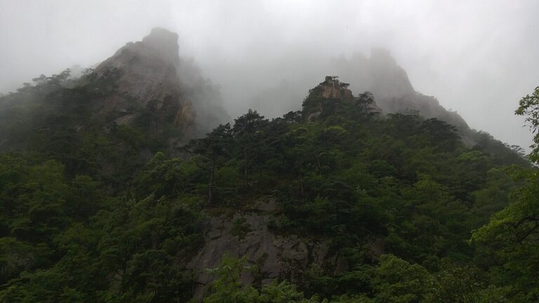 Mount Huangshan Sea of Clouds & Ancient Pines: Guide